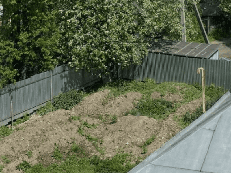 Юрист Ордин о земельных спорах