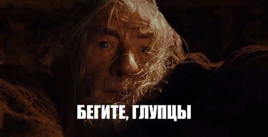 бегите глупцы